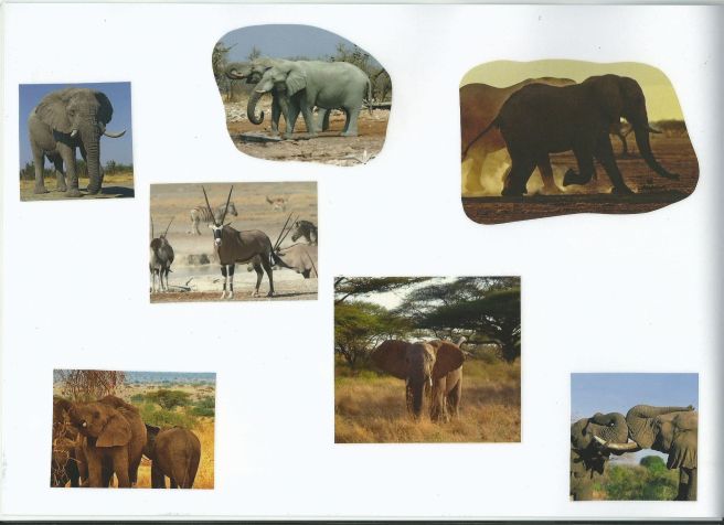 Ausnahme suchen von tinas blumenwiese