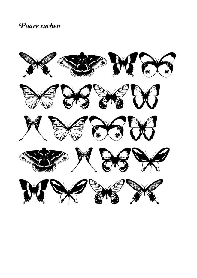 schmetteringpaare1-page-001