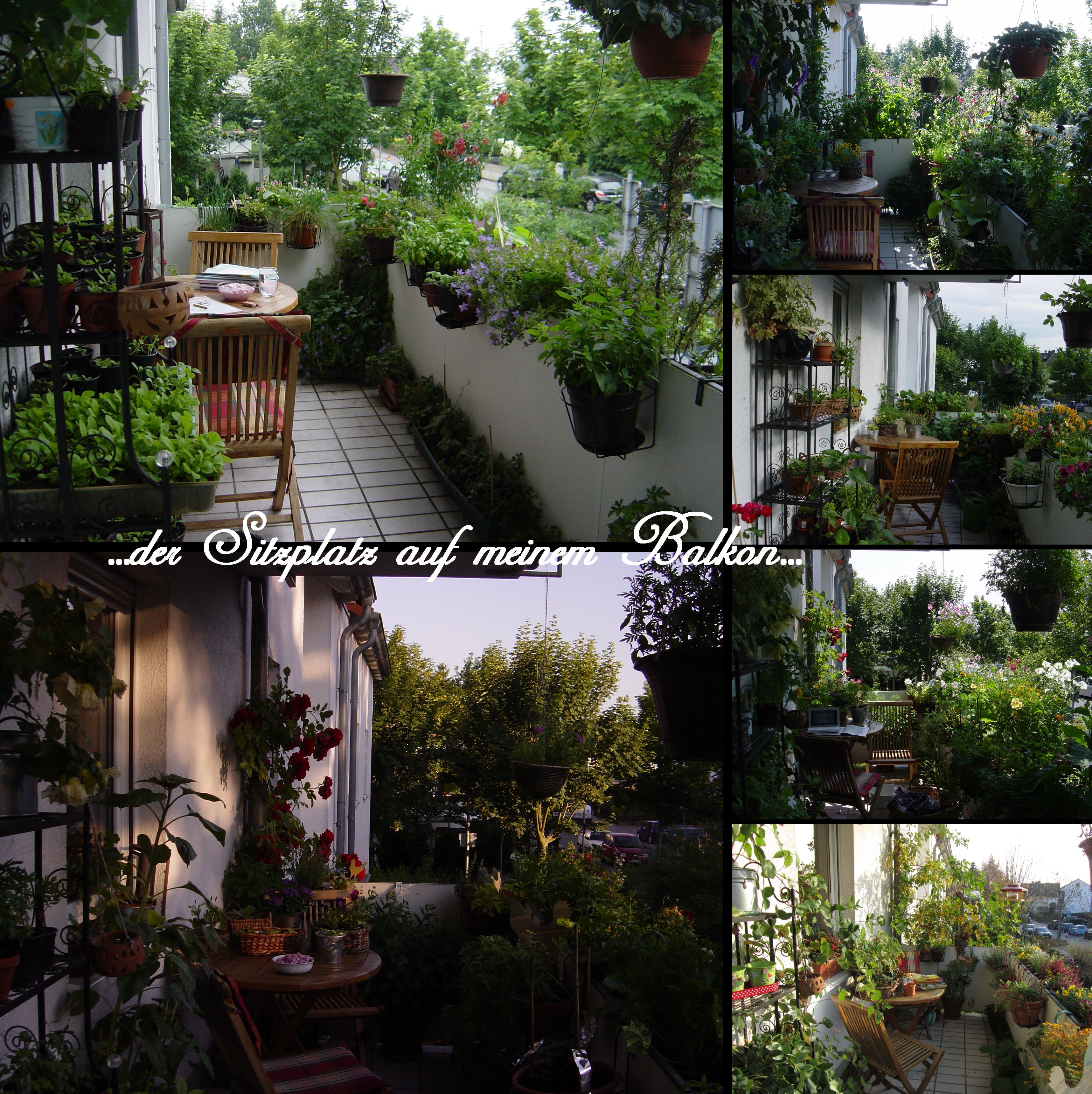 balkonsitzplatz1text